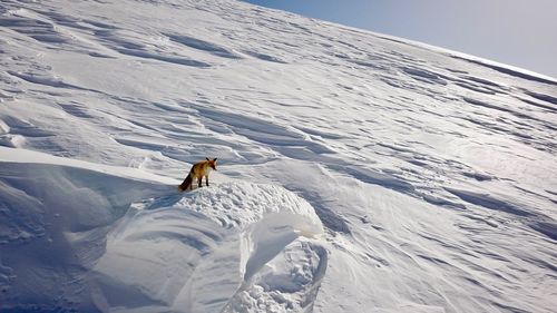 People on snowcapped mountain