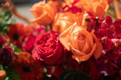 Close-up of rose bouquet