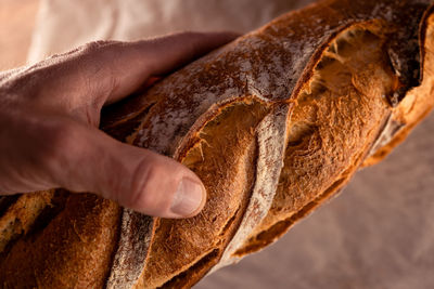 Cropped image of person hand holding bread 