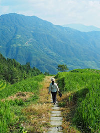 Rear view of man walking on mountain road