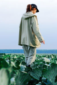 A girl walks through a cabbage field. gardening on an organic vegetable farm