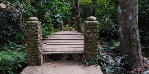 Footpath amidst trees in forest