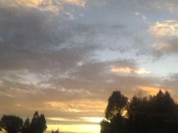 Low angle view of silhouette trees against sky during sunset