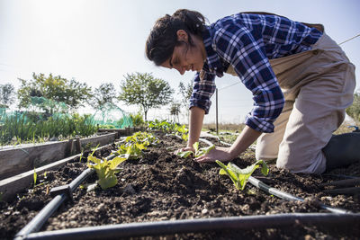 Woman working on farm planting lettuce
