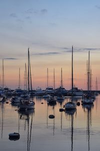 Sailboats moored in harbor at sunset