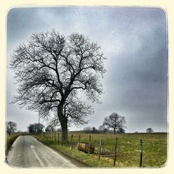 Road passing through grassy field