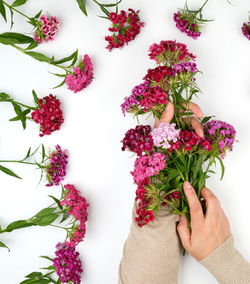 Directly above shot of woman holding flowers against white background