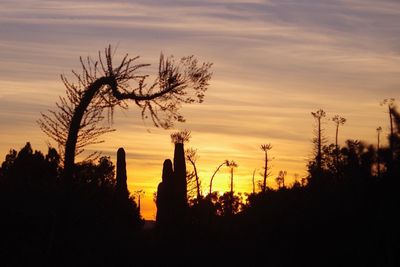 Silhouette trees against sky during sunset