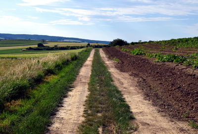 Road passing through agricultural field against sky