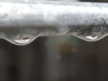 Close-up of raindrops on ice