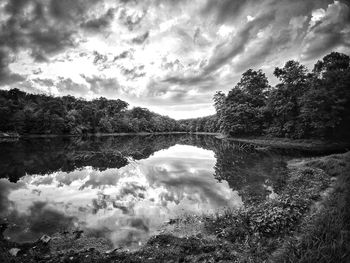 Reflection of trees in lake against sky