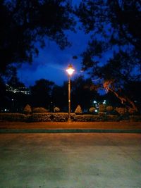 Illuminated street lights in park at night