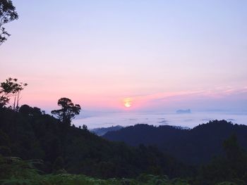 Scenic view of sunset over sea