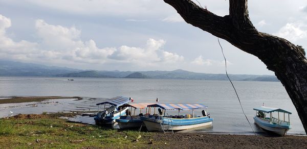 Fishing boats moored on sea against sky