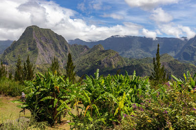 Scenic view of a green landscape with mountain range at island reunion