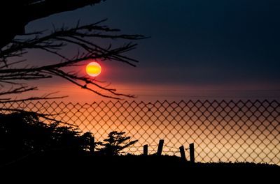 Silhouette plants and fence against sky during sunset