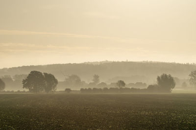 Scenic view of field against sky during foggy weather
