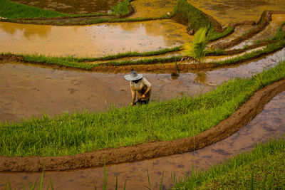 Farmers work on the fields before planting