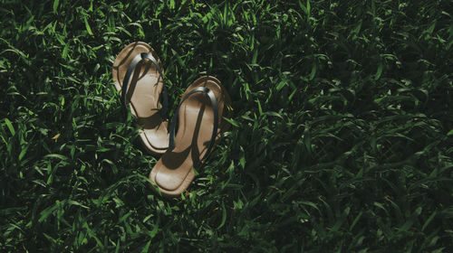 High angle view of flip flops in grass