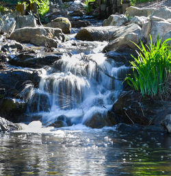 Scenic view of waterfall in forest