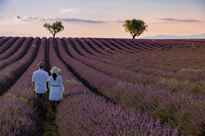 Scenic view of flower field against sky during sunset