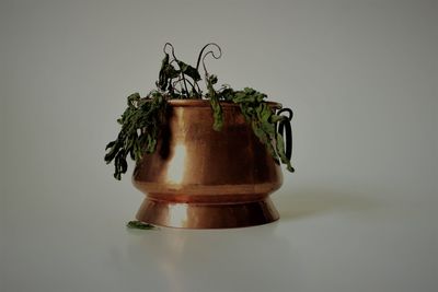 Close-up of lamp against black background
