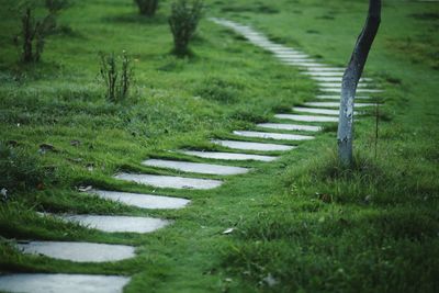 Surface level of footpath on grassy field