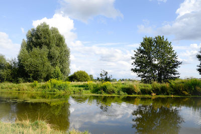 Reflection of trees in lake against sky
