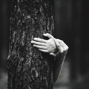 Close-up of hand holding tree trunk