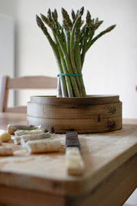 Close-up of potted plant on table