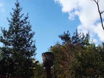 Low angle view of trees against sky