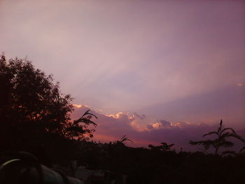 Silhouette trees against sky during sunset