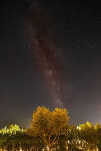 star