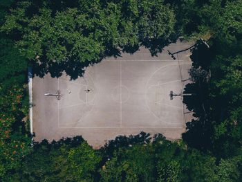High angle view of basketball court amidst trees