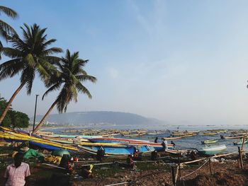 Palm trees on beach against sky