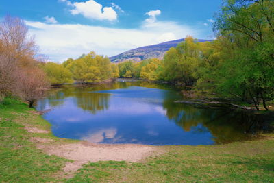 Scenic view of lake by trees against sky