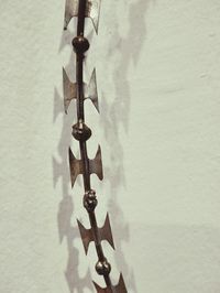 wall - building feature