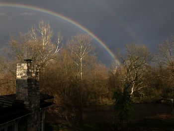 Rainbow over trees and buildings against sky