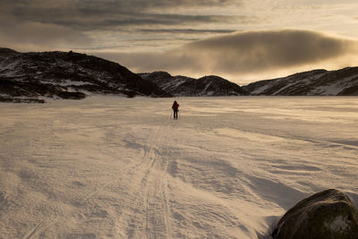 Rear view of person skiing on snow covered field