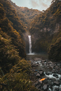 Scenic view of waterfall