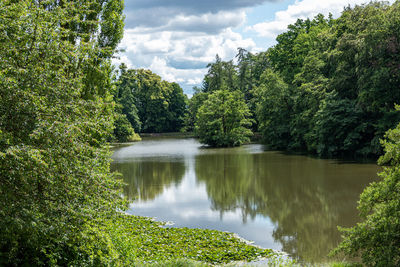 Scenic view of lake in forest against sky