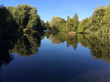 Reflection of trees in calm lake against clear blue sky