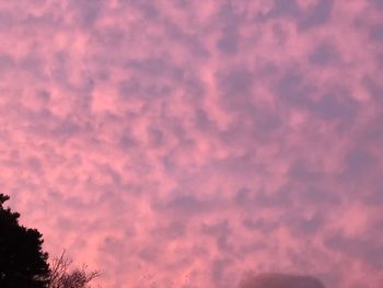 Low angle view of pink sky at sunset