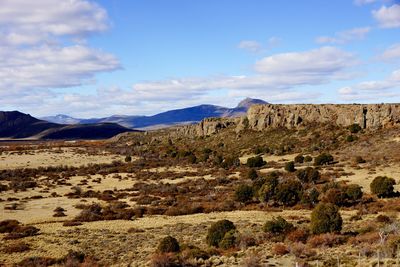 View of bushes and rocky mountains on landscape against sky