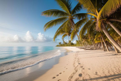 Palm trees on beach against sky