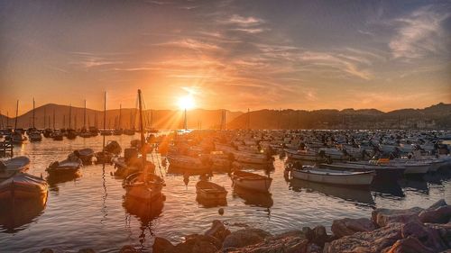 Sailboats in marina at sunset