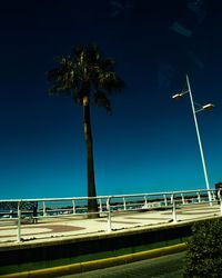 Palm trees against clear blue sky