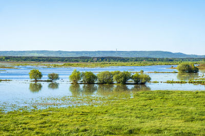 Scenic view of lake against clear sky