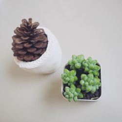 High angle view of vegetables on white table