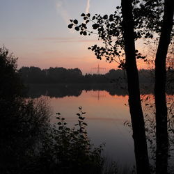 Silhouette trees by lake against sky during sunset